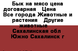 Бык на мясо цена договарная › Цена ­ 300 - Все города Животные и растения » Другие животные   . Сахалинская обл.,Южно-Сахалинск г.